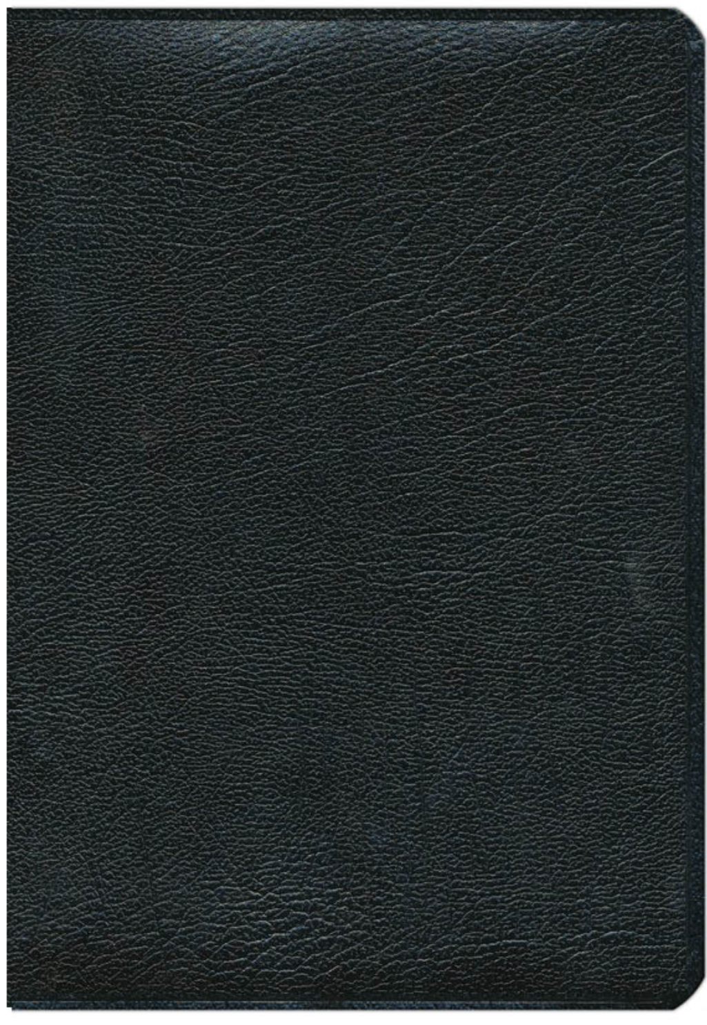 Biblia Plenitud - RVR 1960 - Piel Elaborada Negro