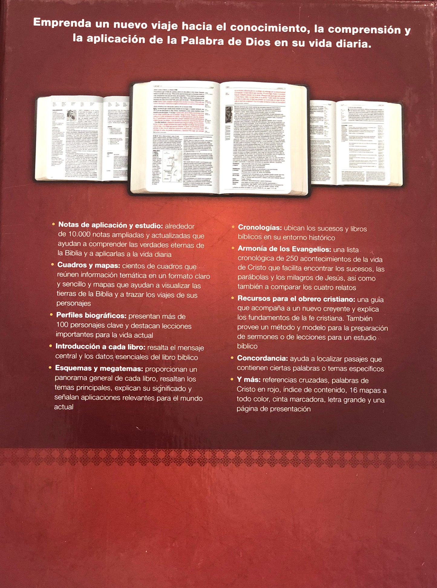 Biblia de Estudio del Diario Vivir - RVR60 - Letra Grande - SentiPiel, Negro/Ónice