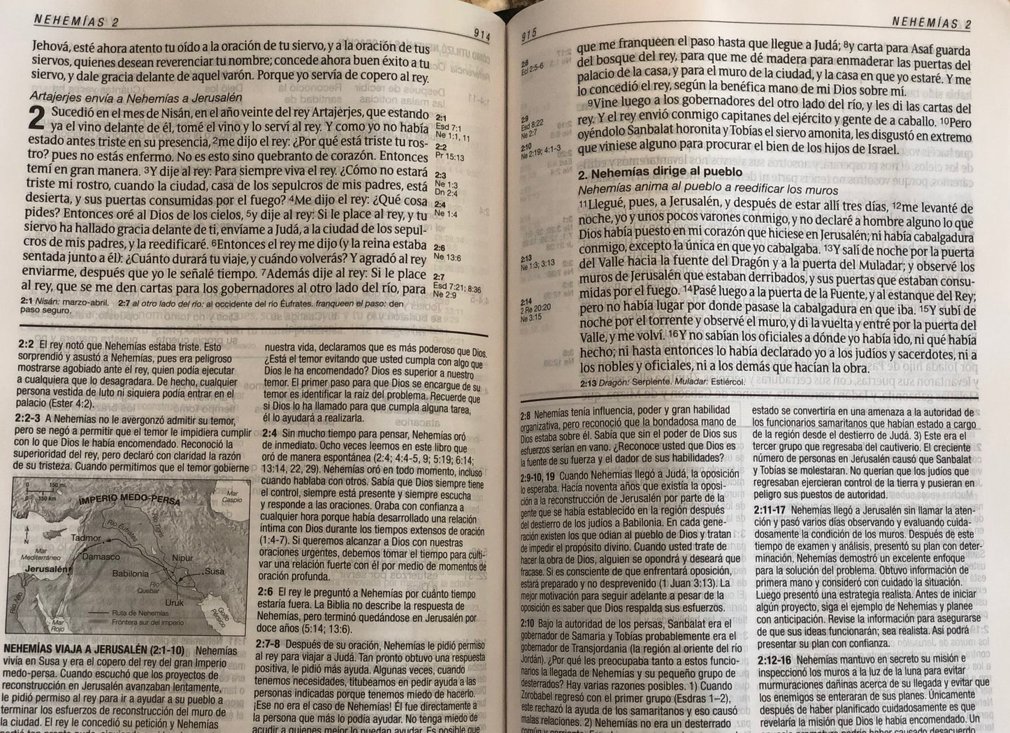 Biblia de Estudio del Diario Vivir - RVR60 - Letra Grande - SentiPiel, Negro/Ónice