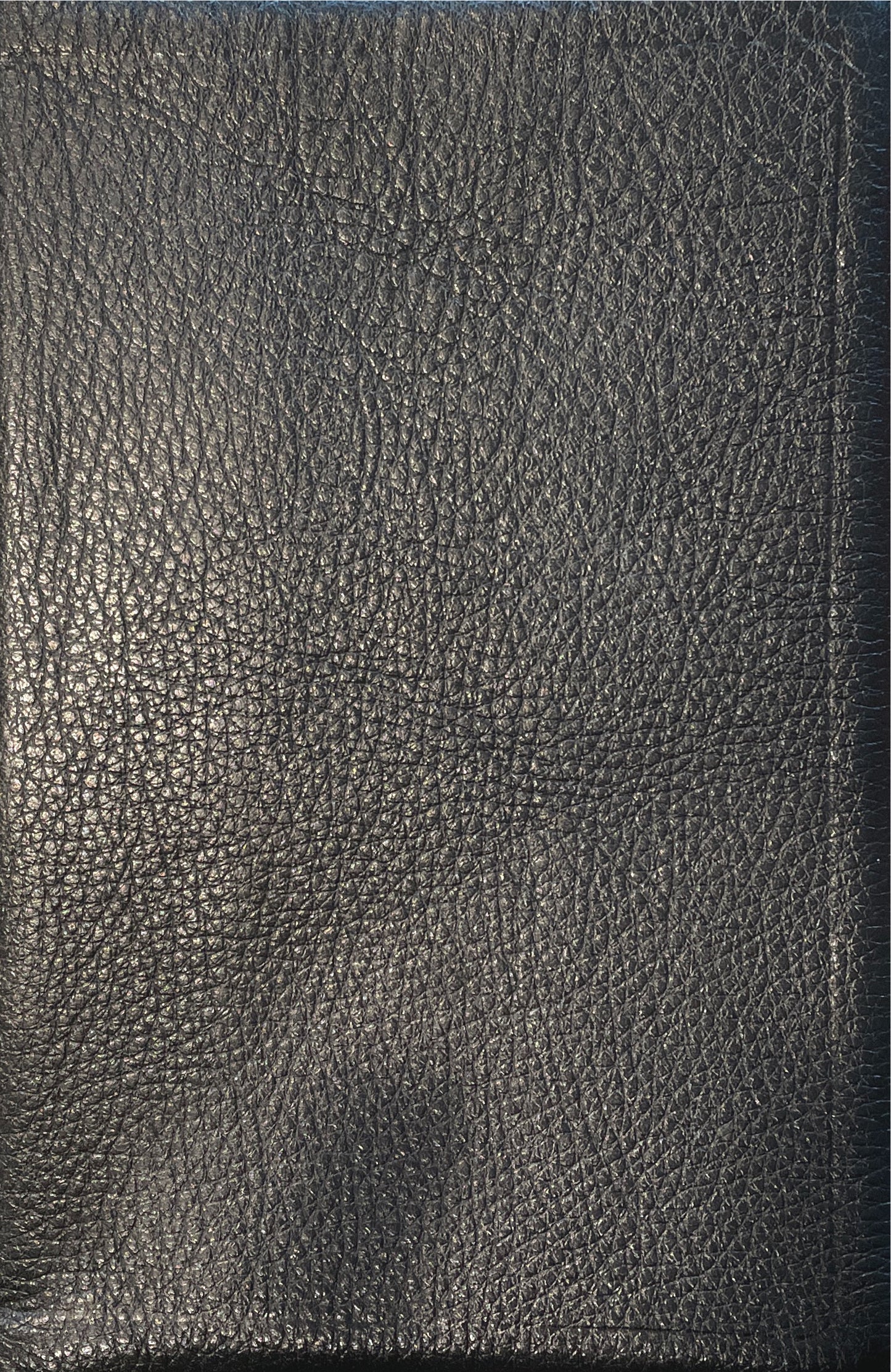Biblia de Estudio de la Vida Plena - NVI - Piel Negro