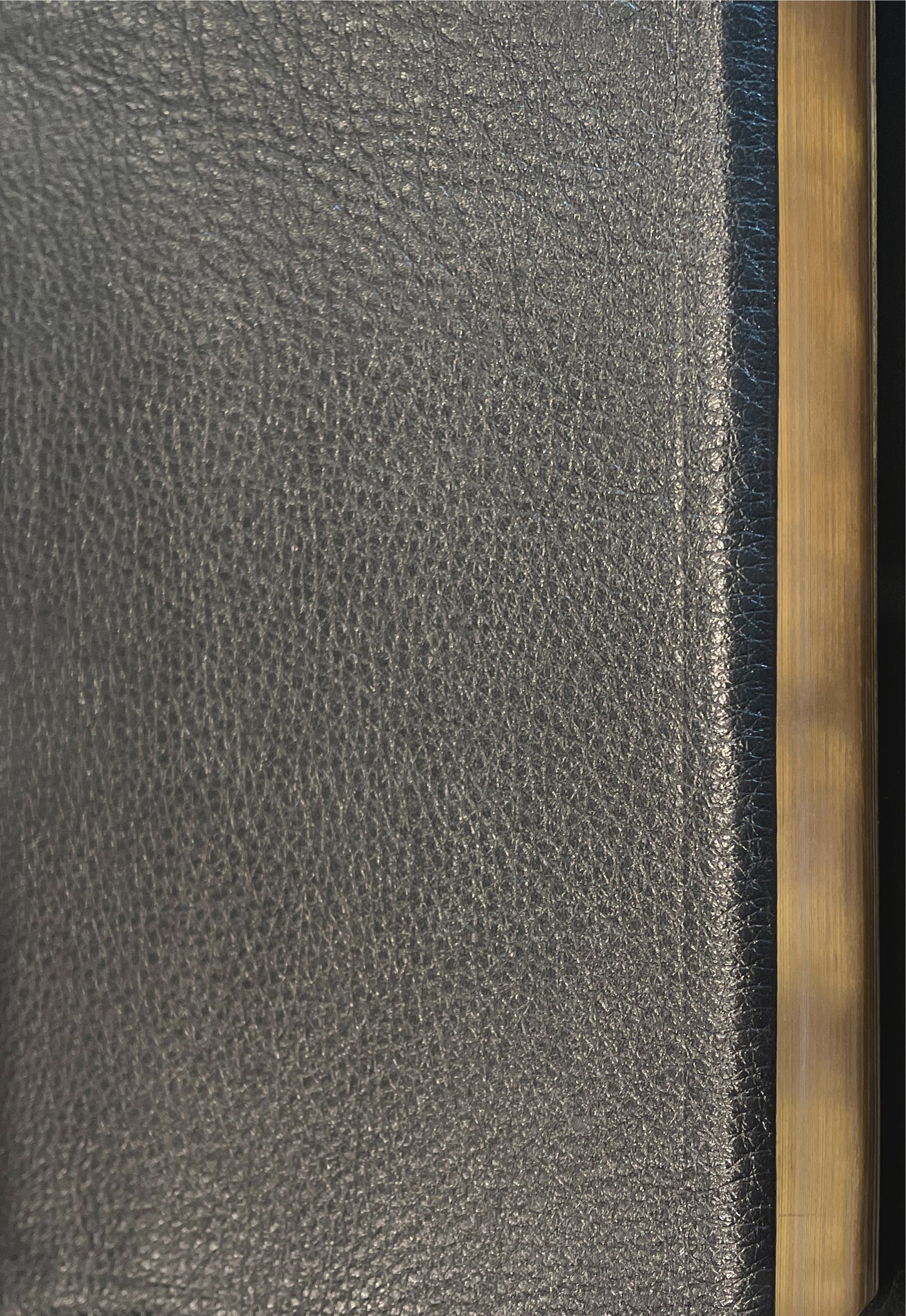 Biblia de Estudio de la Vida Plena - NVI - Piel Negro