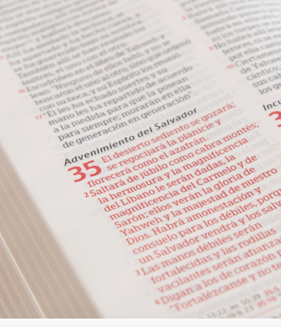 Biblia Peshitta - Traduccion de los Antiguos Manuscritos Arameos - Negro Imitacion Piel con Indice - Holman Bible Publishers