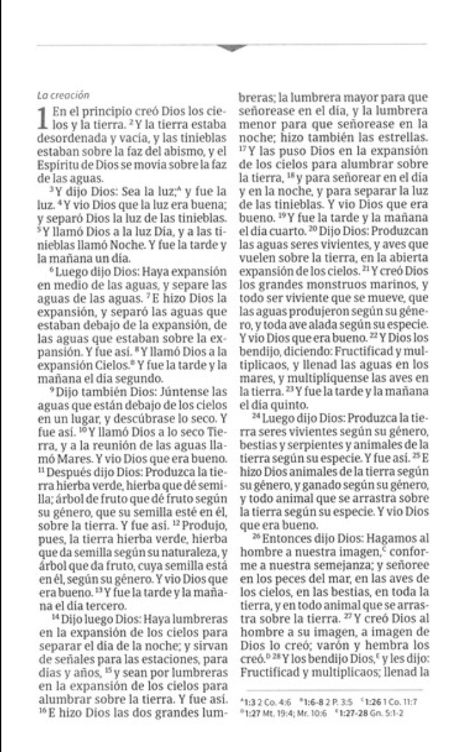 Biblia Compacta Letra Grande - RVR1960 - Marrón, Símil Piel y Solapa con Imán