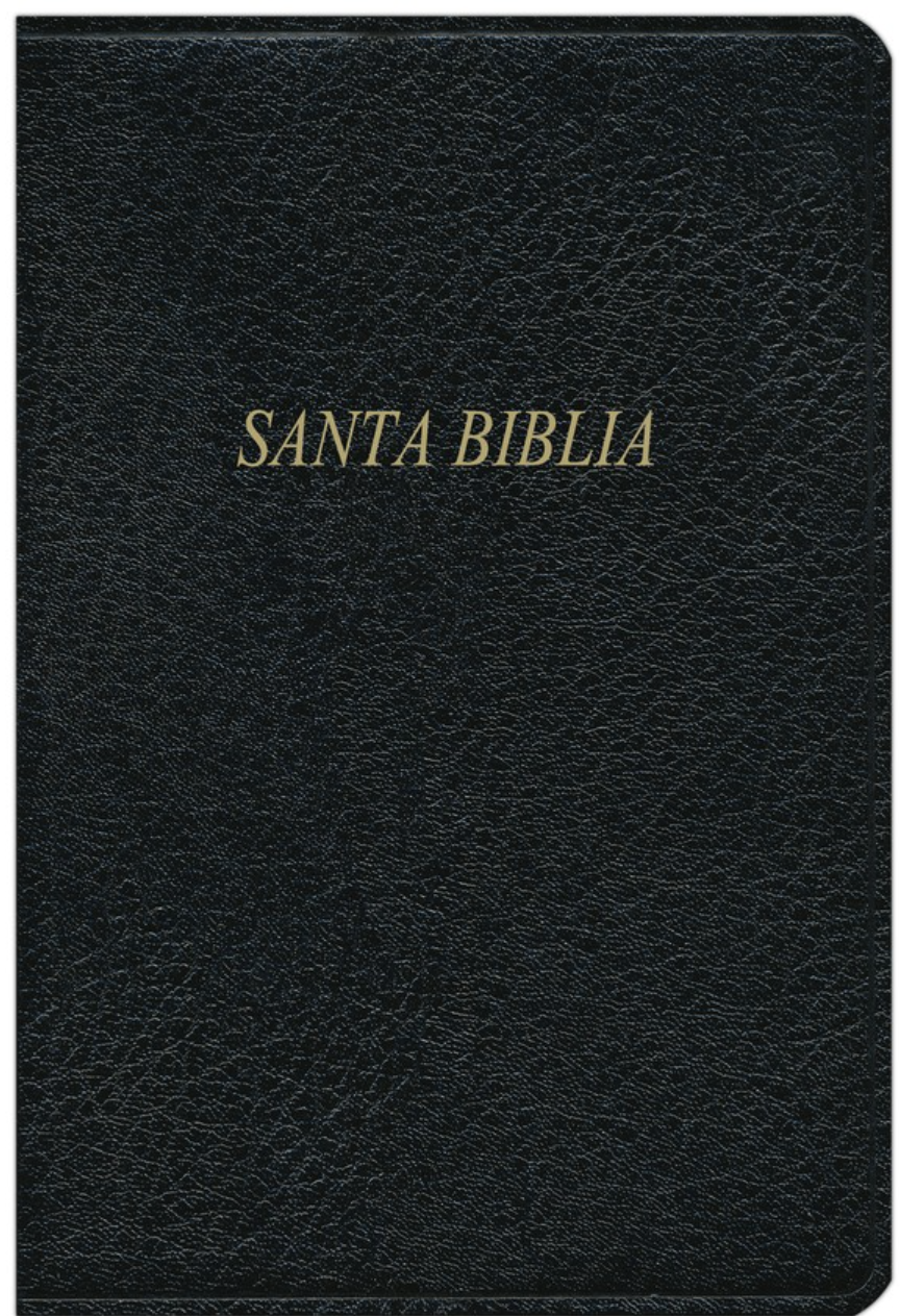 Biblia Bilingüe RVR1960/KJV - Negro, Piel Fabricada con Índice
