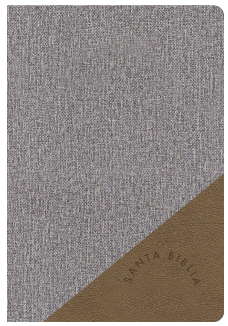 Biblia Letra Grande Tamaño Manual - RVR1960 - Gris y Marron, Simil Piel