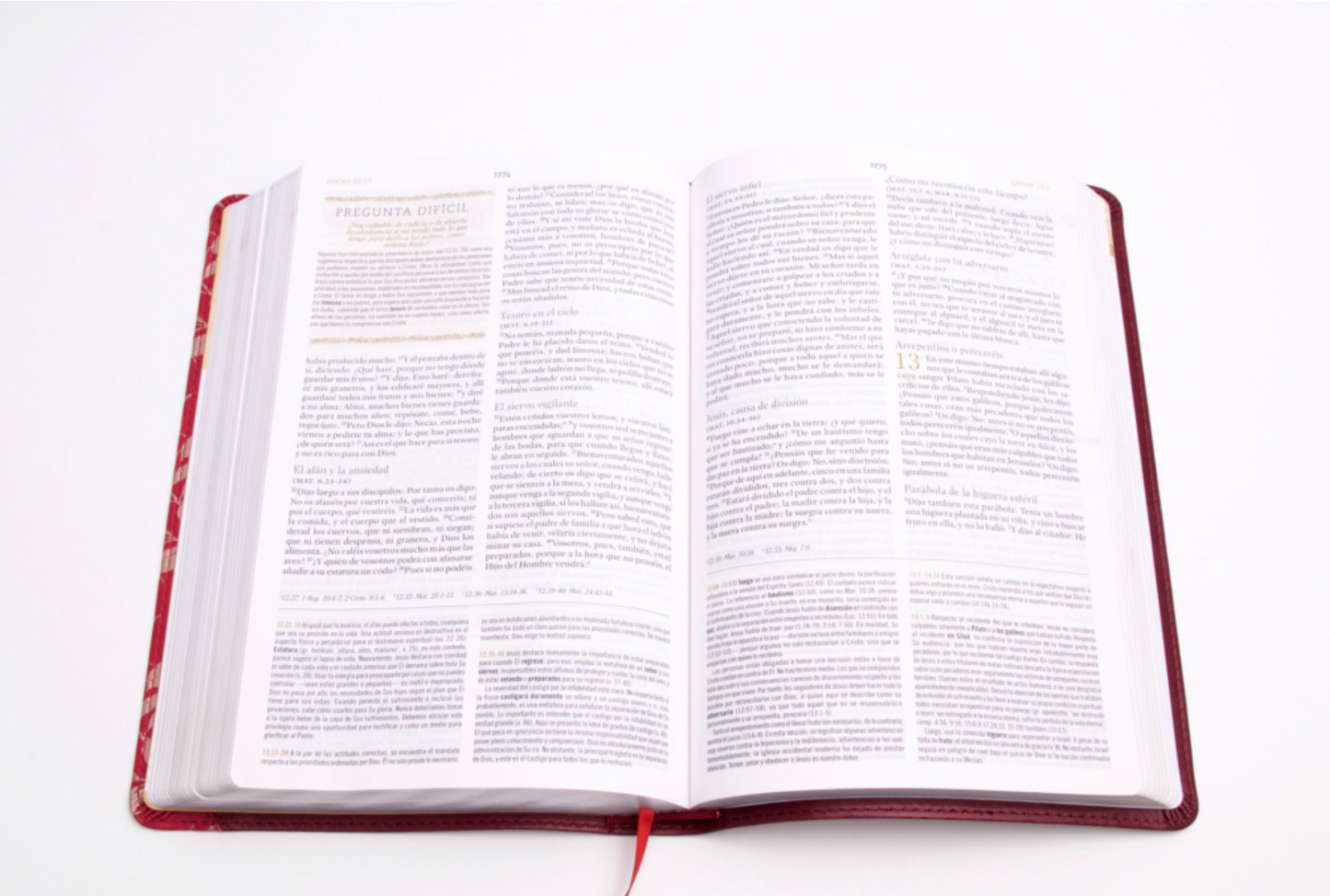 Biblia de Estudio para Mujeres - RVR1960 - Vino Tinto/Fucsia, Símil Piel