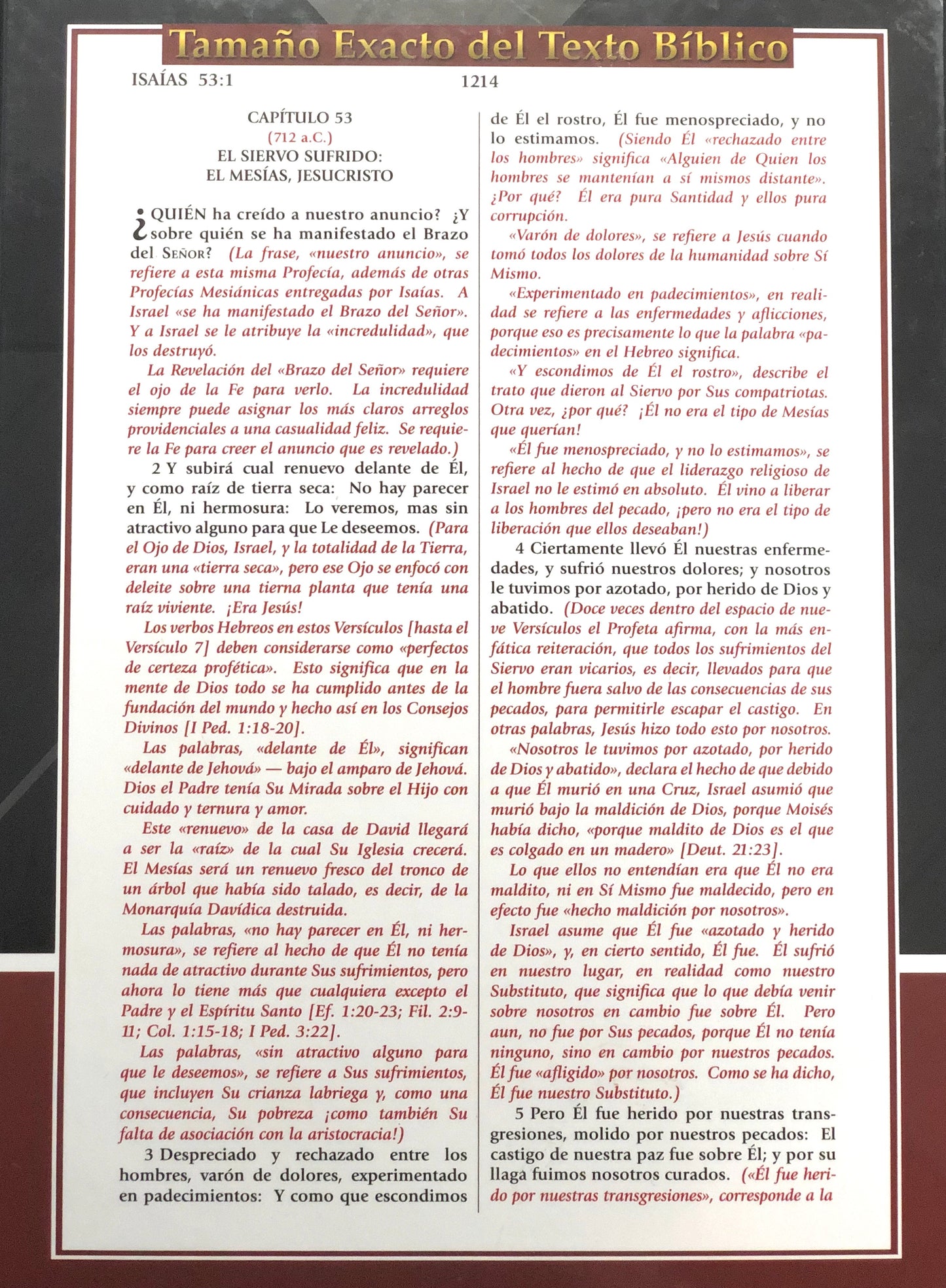 Biblia de Estudio del Expositor Jimmy Swaggart - Versión Textual Expositora - Color Vino Tinto Piel Reconstituida