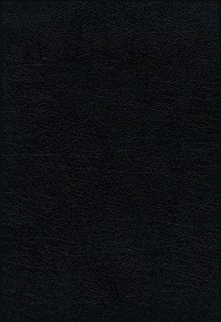 Santa Biblia Ultrafina - Letra Grande - RVR1960 - Negro, Piel Fabricada