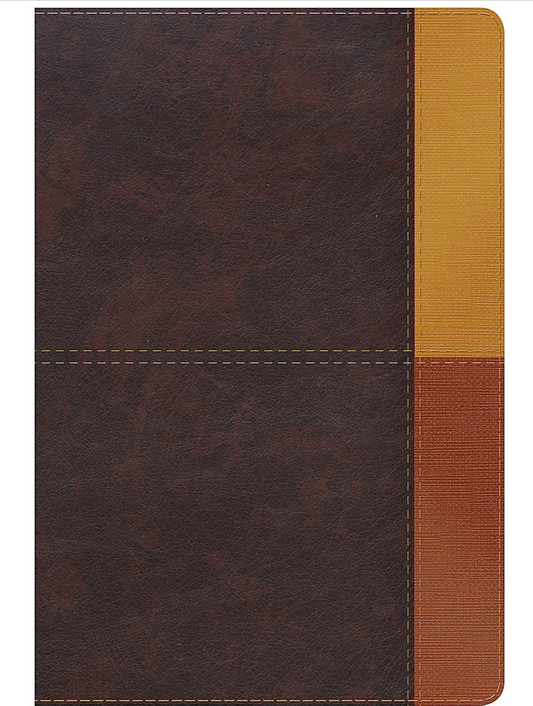 Biblia de Estudio Arcoiris - Cocoa/Terracota Símil Piel - RVR 1960