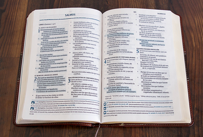 Biblia del Pescador Letra Grande - Caoba Símil Piel con Indice - RVR 1960 - Holman