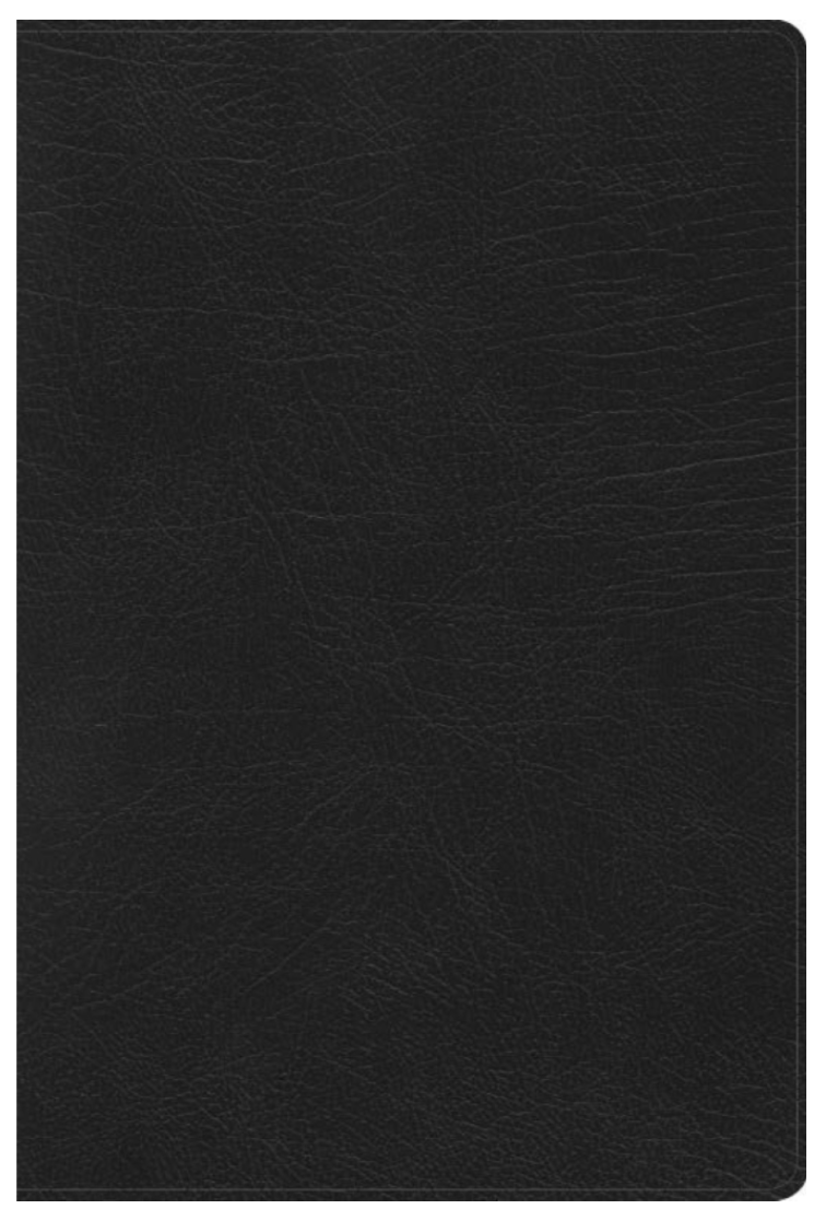 Biblia de Estudio Arcoiris - RVR 1960 - Color Negro, Símil Piel con Indice