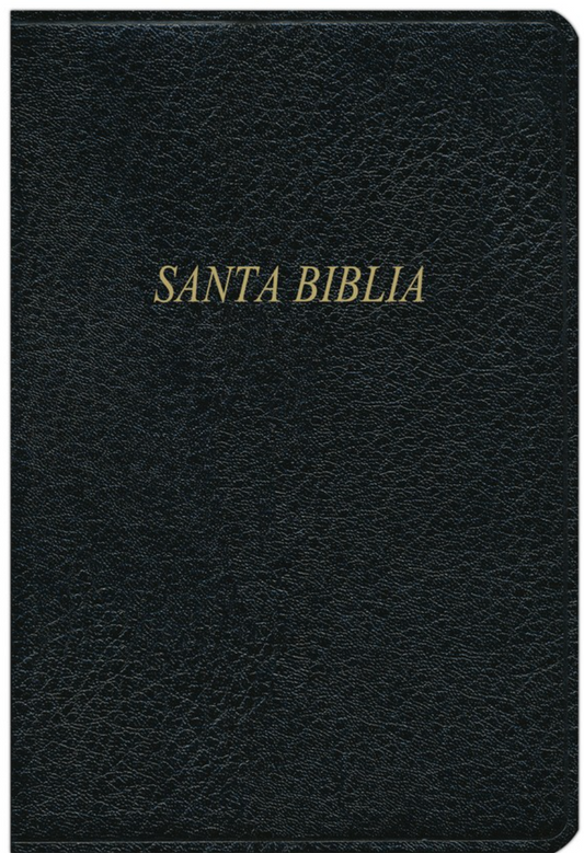 Biblia Bilingüe RVR1960/KJV - Negro, Imitación Piel con Índice