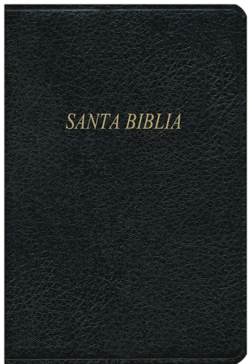 Biblia Bilingüe RVR1960/KJV - Negro, Piel Fabricada