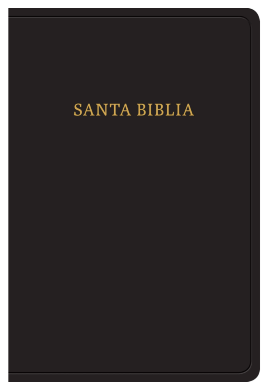 Biblia Letra Grande Tamaño Manual - RVR1960 - Negro, Imitación Piel