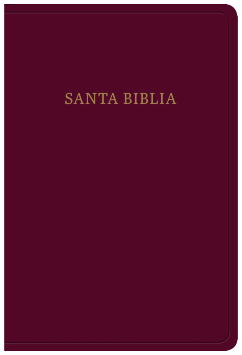 Biblia Letra Grande Tamaño Manual - RVR1960 - Borgoña, Imitación Piel