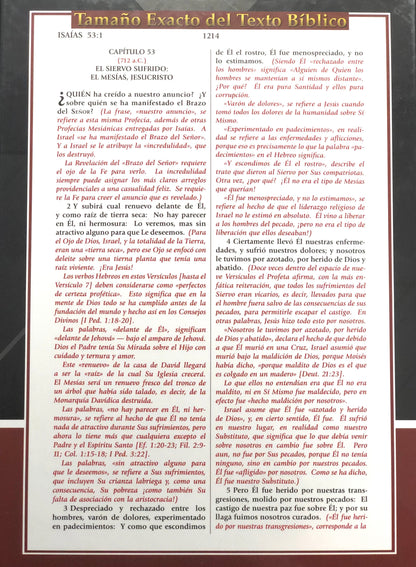 Biblia de Estudio del Expositor Jimmy Swaggart - Versión Textual Expositora - Color Vino Tinto Piel Reconstituida