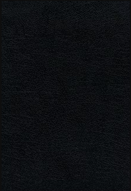 Santa Biblia Ultrafina - Letra Grande - RVR1960 - Negro, Piel Fabricada